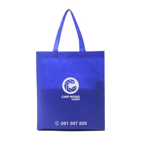 Customization Printed Eco Friendly Shopping Bag Foldable Non Woven Exhibition Tote Bag