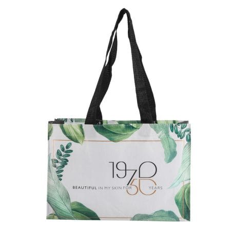 Wholesale Custom logo Long Handle Reusable Non Woven Rpet Shopping Bags